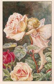 Flower Fairies Books Rose Fairy