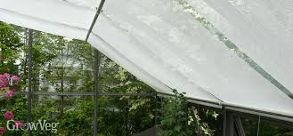 How To Keep Your Greenhouse Cool In Summer