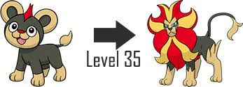 Images Of Litleo Evolution Level Www Industrious Info