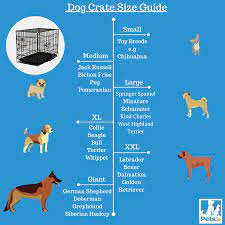 dog crate size guide pets ie support