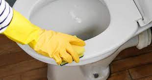 Cleaning Fans Praise 38p Toilet