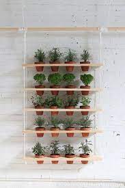 Welcome to the famous dave's garden website. 20 Diy Hanging Planters How To Make A Hanging Planter