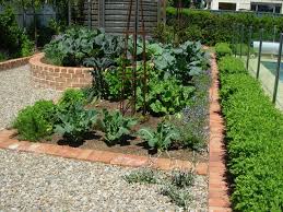 How To Make Raised Vegetable Beds