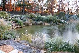 A Natural Pond In Your Garden