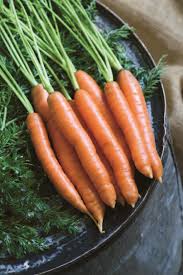 how to fresh carrots diy