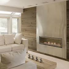 Linear Fireplaces Contemporary