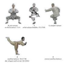 kung fu training with shaolin monks