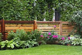 20 Best Backyard Fence Ideas Privacy