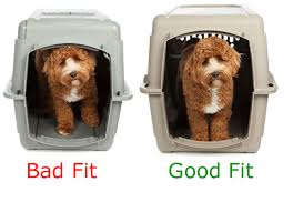 Measurement Guides For Airline Pet Carrier Crate Kennels