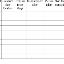 Skin Assessment Audit Tool Download Table