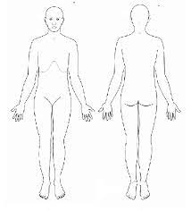 It is not reliant on whether the patient is standing, su. Blank Anatomical Position Diagram Human Anatomy