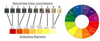 Natural Hair Color Level System Underlying Pigments And