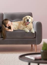 the best pet family friendly sofas