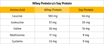Whey Protein V S Soy Protein Understanding Made Simpler