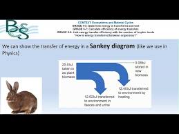 Gcse 9 1 Biology Energy Transfer