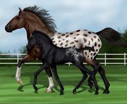 At roundgames we have 17 game genres filled with amazing high quality online games. 15 Best Online Horse Simulation Games Free Download Games Indigo