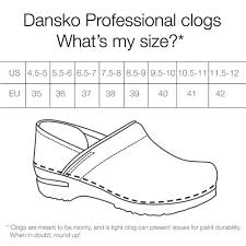 First Steps Dansko Professional Clog