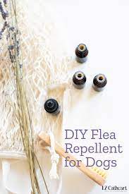 diy natural flea repellent safe way to