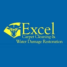 excel carpet cleaning water damage