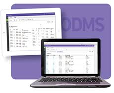 Fountas Pinnell Online Data Management System For Leveled
