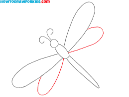 how to draw a dragonfly easy drawing