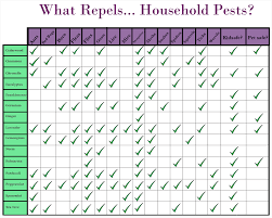 using essential oils to deal with pests