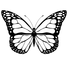 Currently, i advocate cute butterflies coloring pages for you, this content is related with sven from frozen coloring pages. 40 Free Printable Butterfly Coloring Pages