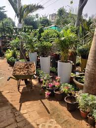 Rick is a home design consultant and enthusiast, whose life is consumed by all things home and garden. Home Gardens Ajmer Road Plant Nurseries In Jaipur Justdial