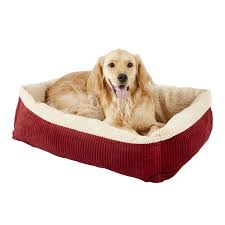 the 12 best heated dog beds to keep
