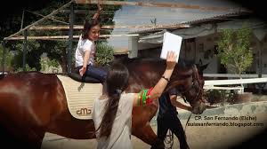 Resultado de imagen de terapia con caballos