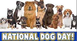 The national day calendar designated august 26th as the annual marker of the occasion. National Dog Day 2021 August 26 Happy National Dog Day 2021 Wishes Messages Quotes Latest Breaking News Updates Smartphone Model