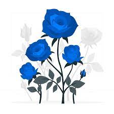 blue rose images free on freepik