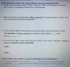 Photosynthesis And Cellular Respiration