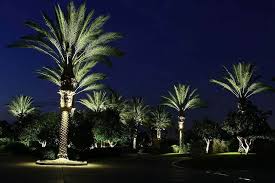 Palm Tree Ring Lights Manufacturer In