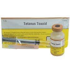 tet toxoid 1ds syringe