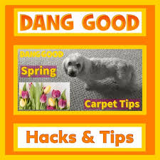 12 dang good carpet cleaning hacks for