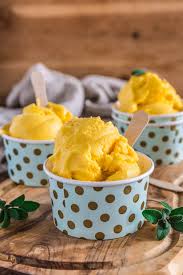 mango frozen yogurt olivia s cuisine