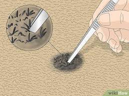 wikihow com images thumb 0 05 get burn marks o
