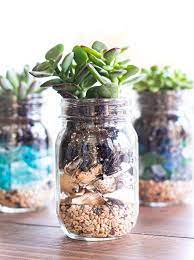 Succulent Seashell Mason Jar Planter