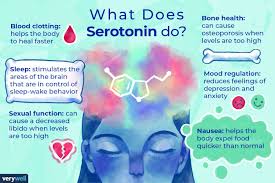 serotonin function side effects