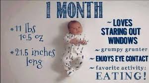Baby Growth 1 To 12 Months Facts Baby Growth Development