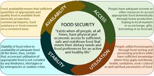 four dimensions of food security as