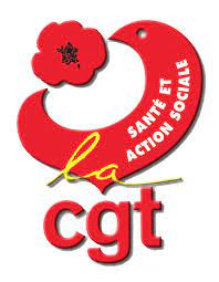 CGT | Union Départementale de la Drôme (26) - L'APPEL du 13ème Congrès de  la Fédération CGT de la Santé & de l'Action sociale