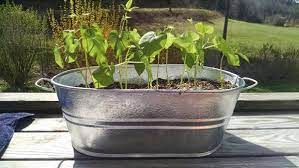Galvanized Tub Planter Planting Pots