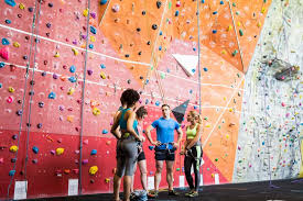 Build A Bouldering Gym Climbing