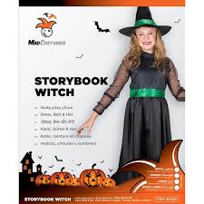 mad costumes storybook witch costume
