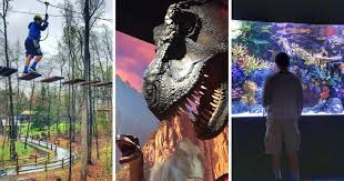 families to do in greensboro nc
