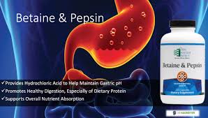 betaine and pepsin holistic