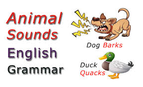 Animal Sounds List English Grammar Learn English