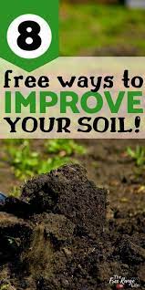 Your Garden Soil